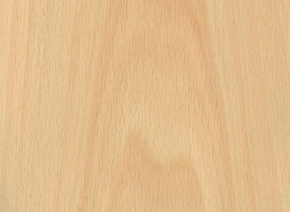 Beech White