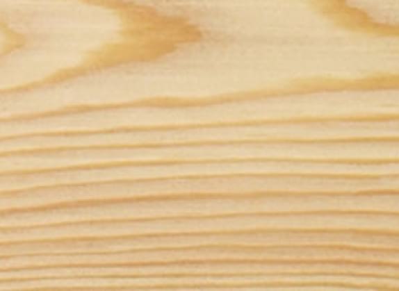 Siberian Larch