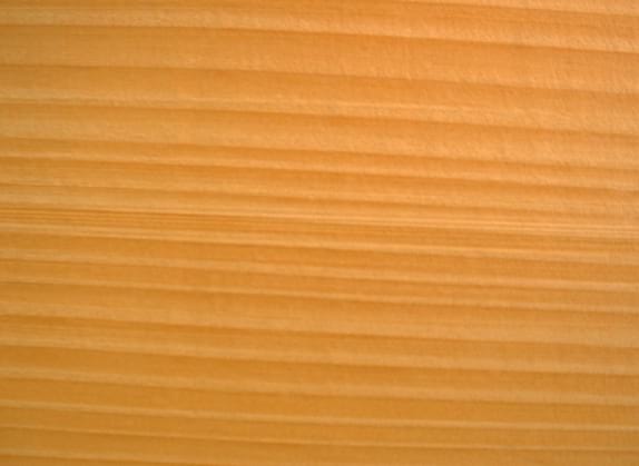 Douglas Fir