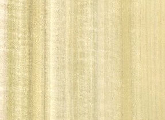 Tulipwood